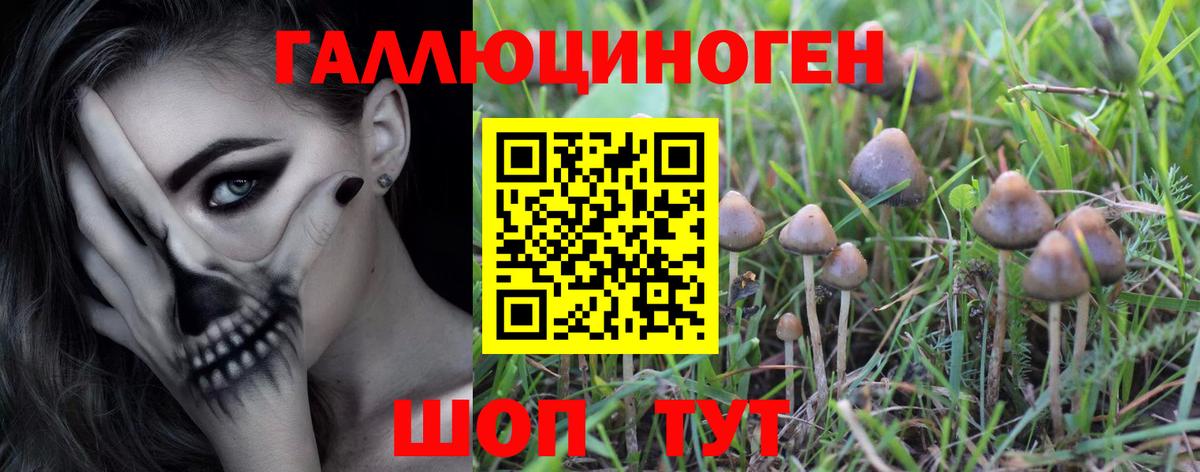Алейск  Галлюциногенные грибы Cubensis  Галлюциногенные грибы ЛСД  Вход с VPN 